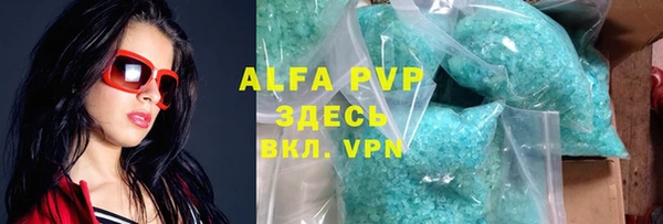 гидра Белокуриха
