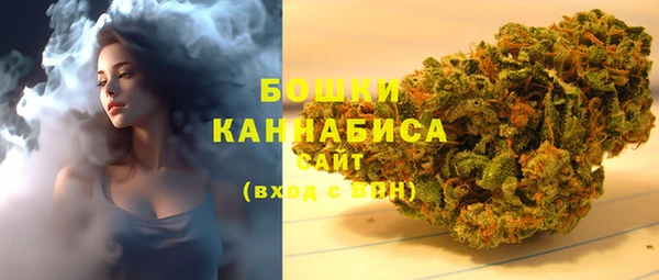 гидра Белокуриха