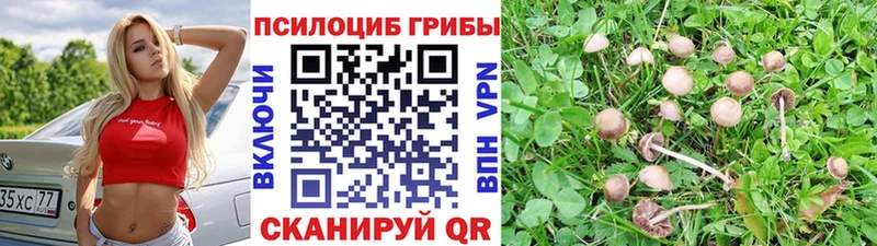 гидра зеркало  Шатура  Псилоцибиновые грибы GOLDEN TEACHER  дарнет шоп 